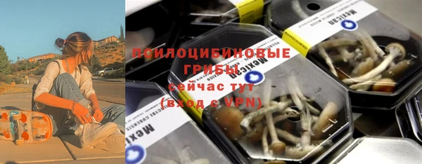 ПСИЛОЦИБИНОВЫЕ ГРИБЫ Алексин