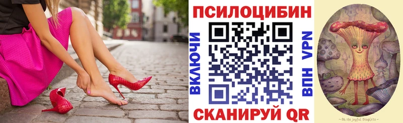 Галлюциногенные грибы Psilocybine cubensis  где купить наркоту  shop состав  Змеиногорск 